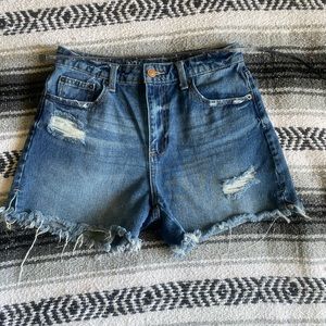 No boundaries size 5 distressed shorts